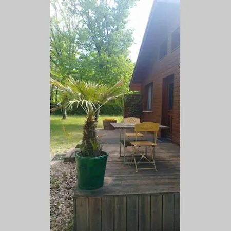 Chalet En Foret, Brame Du Cerf