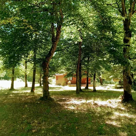 En Foret, Brame Du Cerf * Valpuiseaux