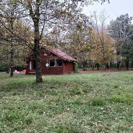 En Foret, Brame Du Cerf Chalet Valpuiseaux
